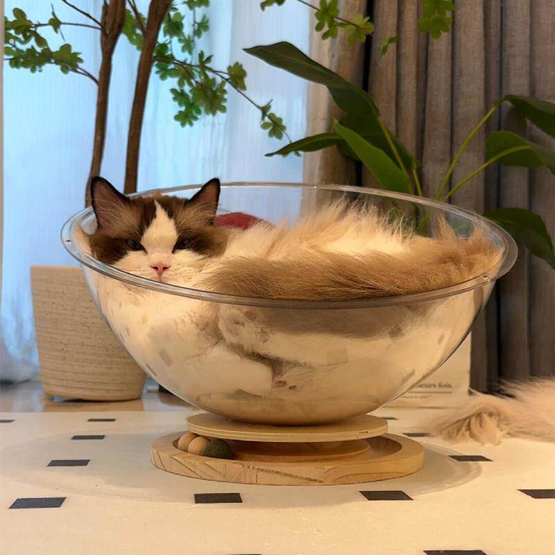 太空舱猫窝大号透明压克力四季通用夏季网红半圆耐磨防水创意房子