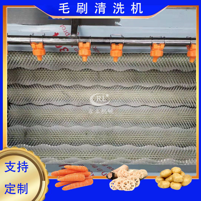 商用沙窝萝卜清洗机 毛刷式凤梨萝卜去泥机 全自动胰岛果清洗机