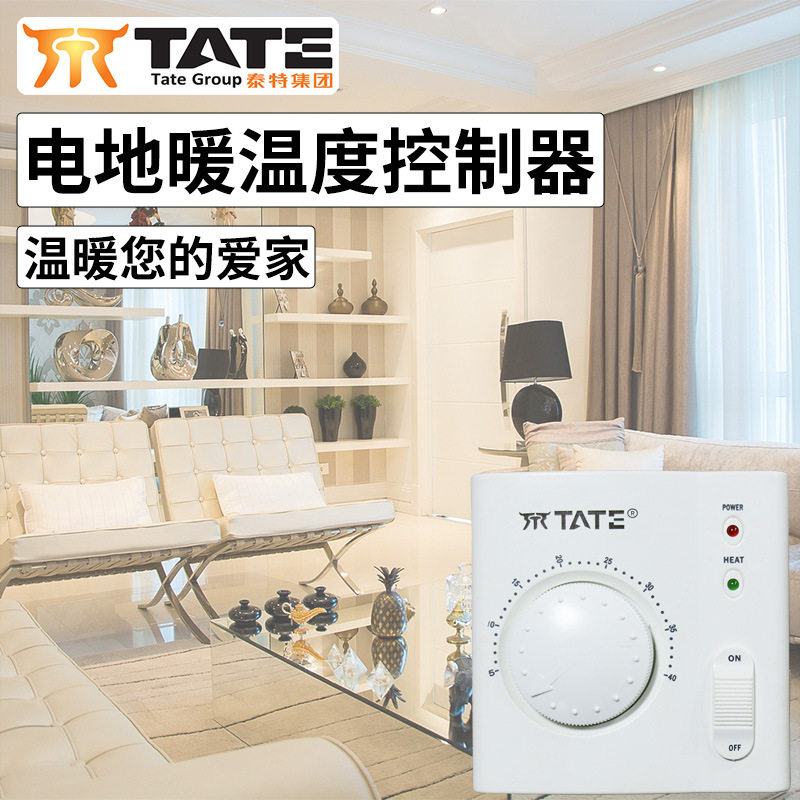 天津泰特水地暖温度控制器TE-H2电子式温控仪开关面板调温