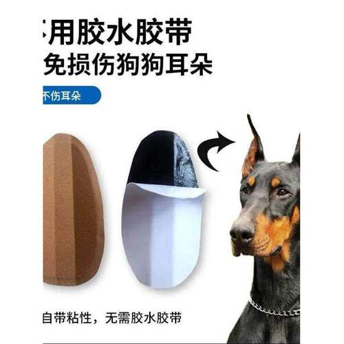 马犬专用狗狗立耳器杜宾德牧辅助立耳神器幼犬竖耳撑耳朵固定器