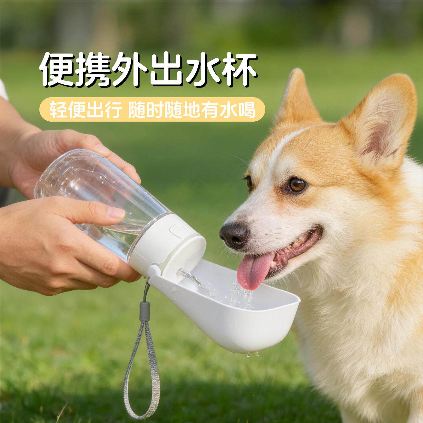 狗狗外出水杯宠物折叠款随行杯便携式水壶柯基户外饮水器猫狗通用