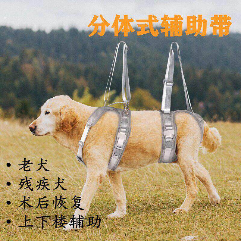 宠物狗狗分体式辅助带胸背术后恢复残病犬老年狗前后腿协助牵引带