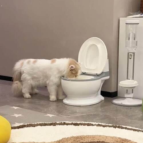创意马桶猫碗大口径不易打翻宠物盆饮水器大容量仿真坐便器喝水