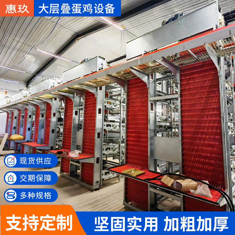大层叠蛋鸡养殖笼养鸡笼镀锌蛋鸡笼层叠式机械自动清粪设备全自动