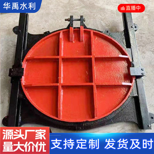 现货铸铁镶铜双向止水闸门