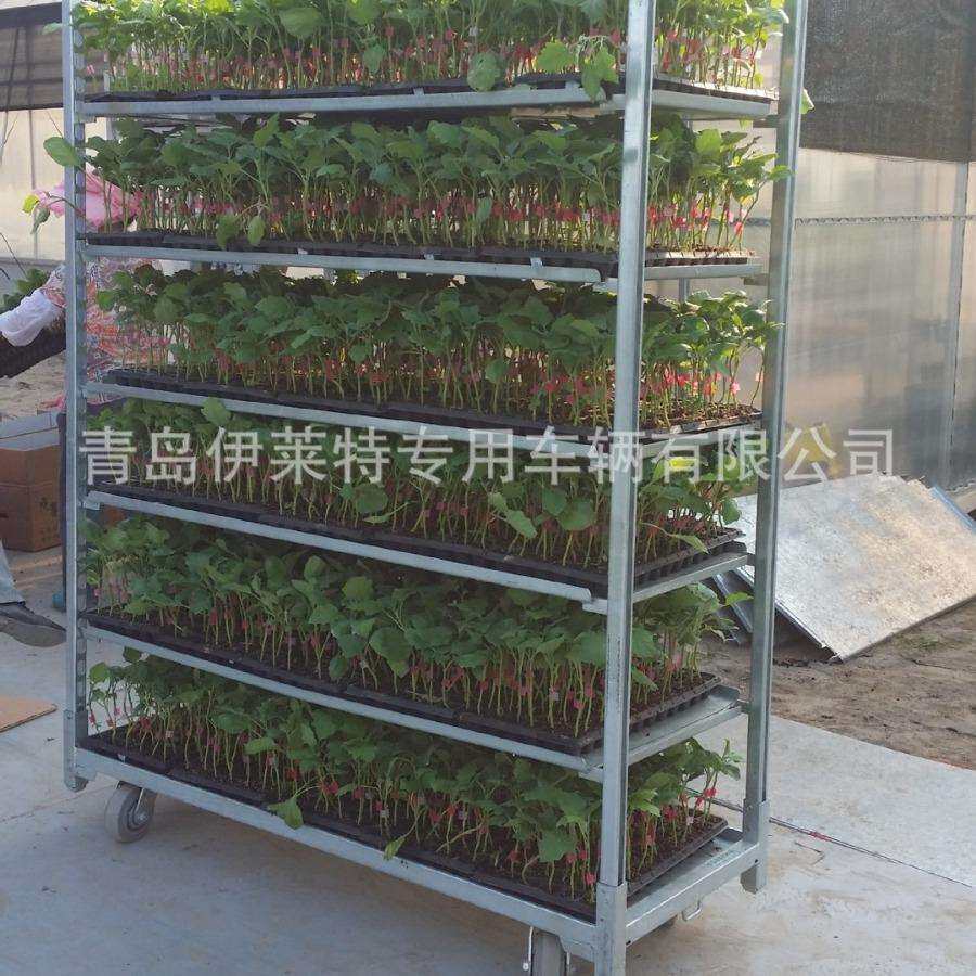 厂家直销花卉育苗基地育苗车, 温室发芽车, 省时省力的工具苗车