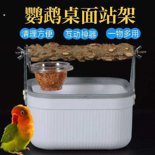鹦鹉定点排便垃圾桶站台虎皮牡丹玄风厕所拉屎训练手养神器桌面