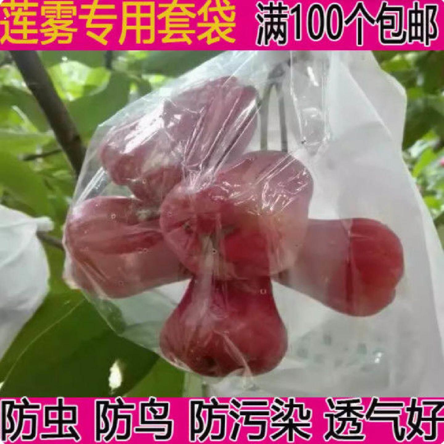 莲雾套袋专用袋洋浦桃日光袋荔枝龙眼防水袋防虫半透明套袋侧开窗