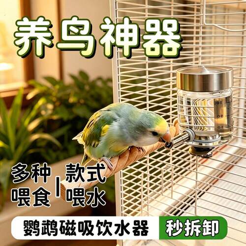 磁吸式鹦鹉水壶针式水壶高硼304不锈钢撞硅玻璃瓶喂水器鸟禽用品