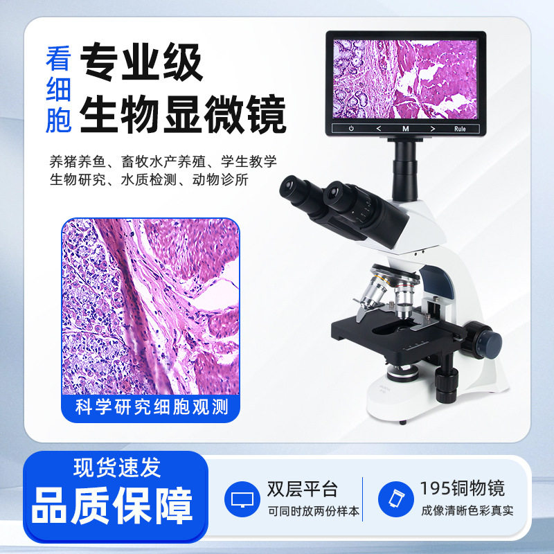 三目生物显微镜超清显示屏数码显微镜接电脑测量科研高倍细菌厂家