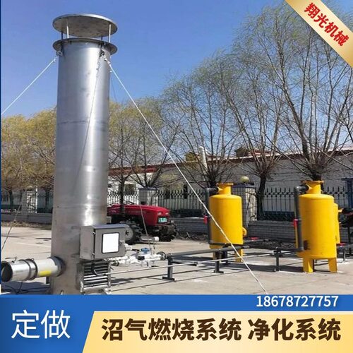 沼气火炬种牛场种养循环沼气工程设备沼气脱硫净化燃烧系统
