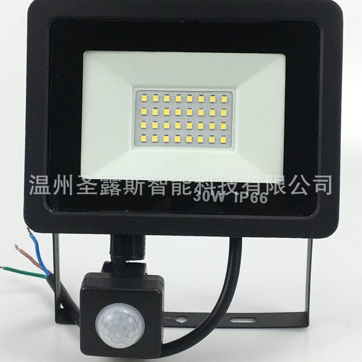 专业生产厂家LED带感应器投光灯 LED泛光灯 草地灯 户外灯 草坪灯