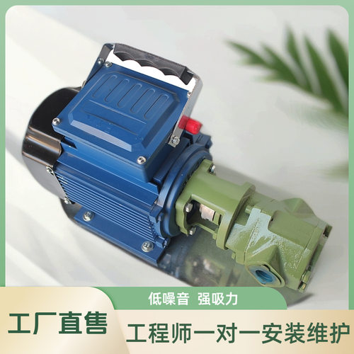 齿轮输油泵 WCB-75 电动小型油泵 WCB-75P 不锈钢齿轮泵