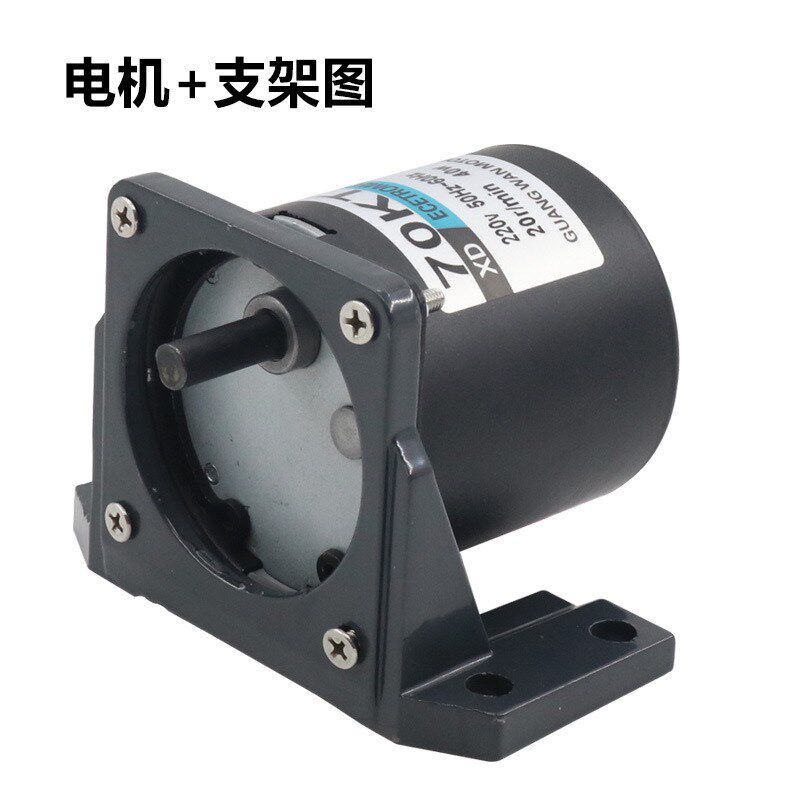 交流同步电机40W微型低速永磁正反转小马达220V慢齿轮减速电动机