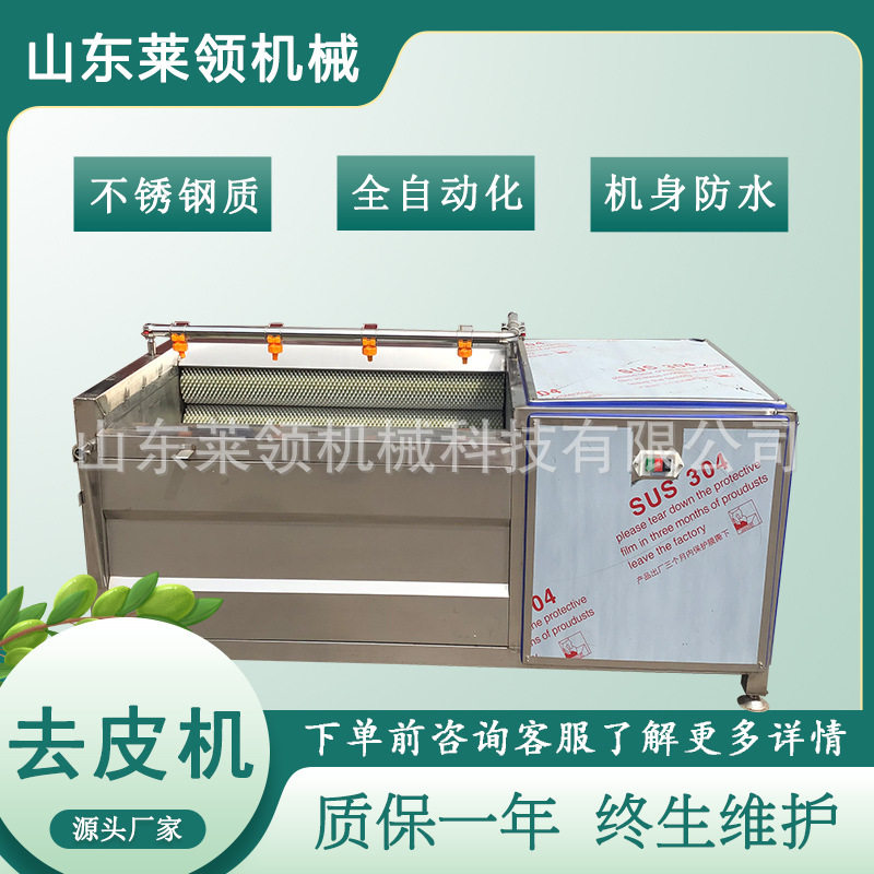 土豆用毛辊去皮设备 连续式榭树叶毛辊洗叶器 山芋毛刷毛辊清洗机