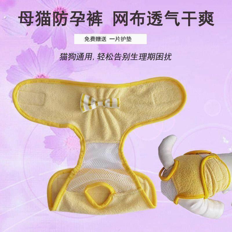 母猫防孕裤防骑防骚扰舒适透气隔离网可排泄宠物猫咪生理期安全裤