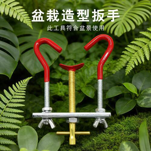 盆景枝干整枝器枝条拿弯器弯曲树干调直工具树木造型拉枝弯曲调整