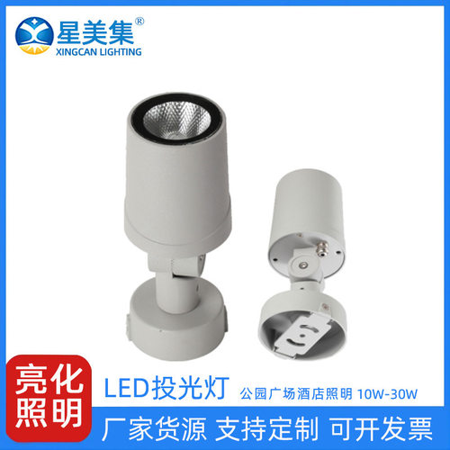 10W20W30W户外公园别墅花园LED彩色公园假山照树防水投光灯
