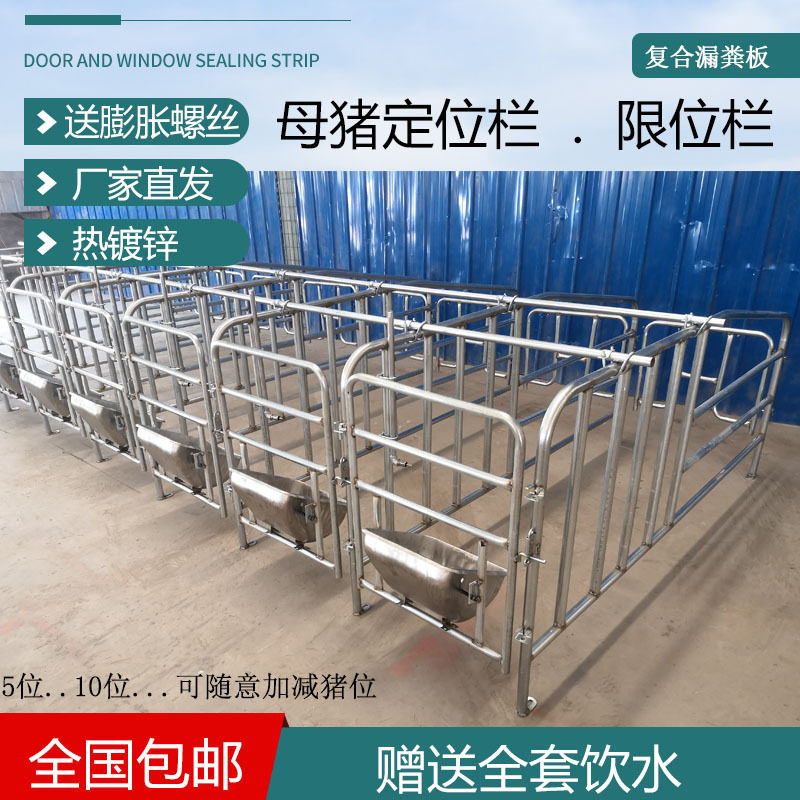 落地式加厚热镀母猪限位栏