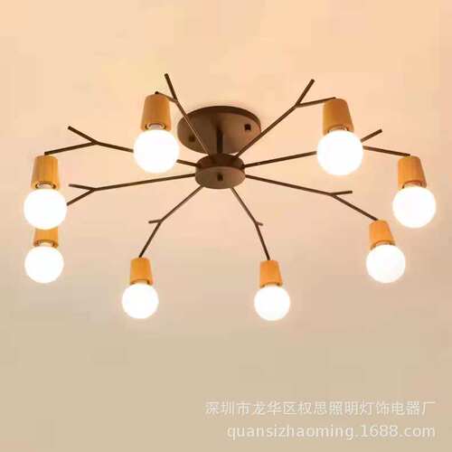 跨境北欧吸顶灯个性温馨卧室铁艺枝形吸顶灯餐厅客厅led吸顶灯