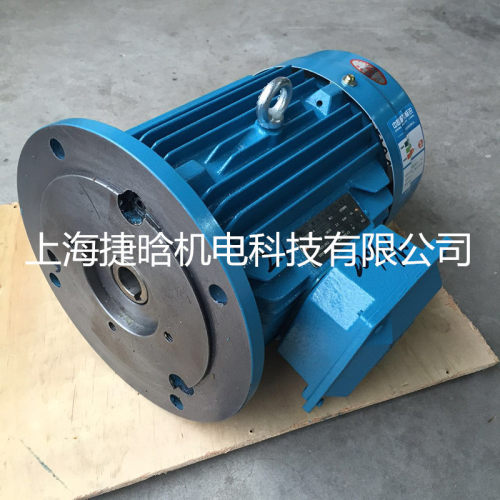 HE2-112M-4-4KW立式内插式电机航发内啮合齿轮泵配套电机