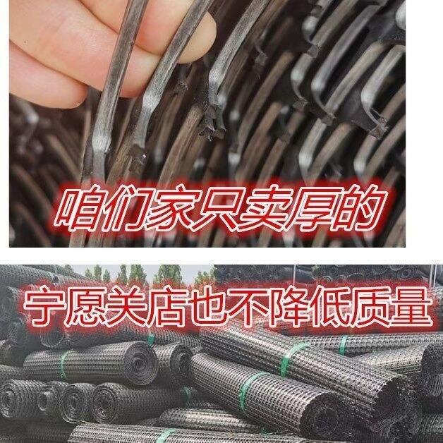 特厚养殖网围栏网圈山圈地圈果菜园格栅网塑料围栏网土工格栅玉米