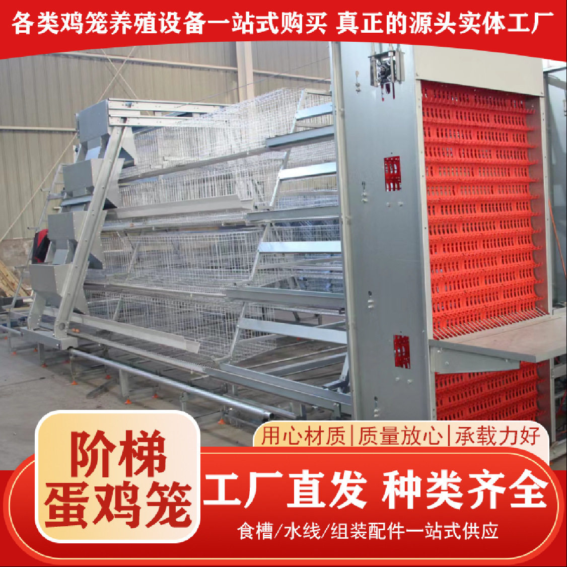 全自动化蛋鸡笼养殖场加背负式喂料机捡蛋机自动集蛋自动喂料系统