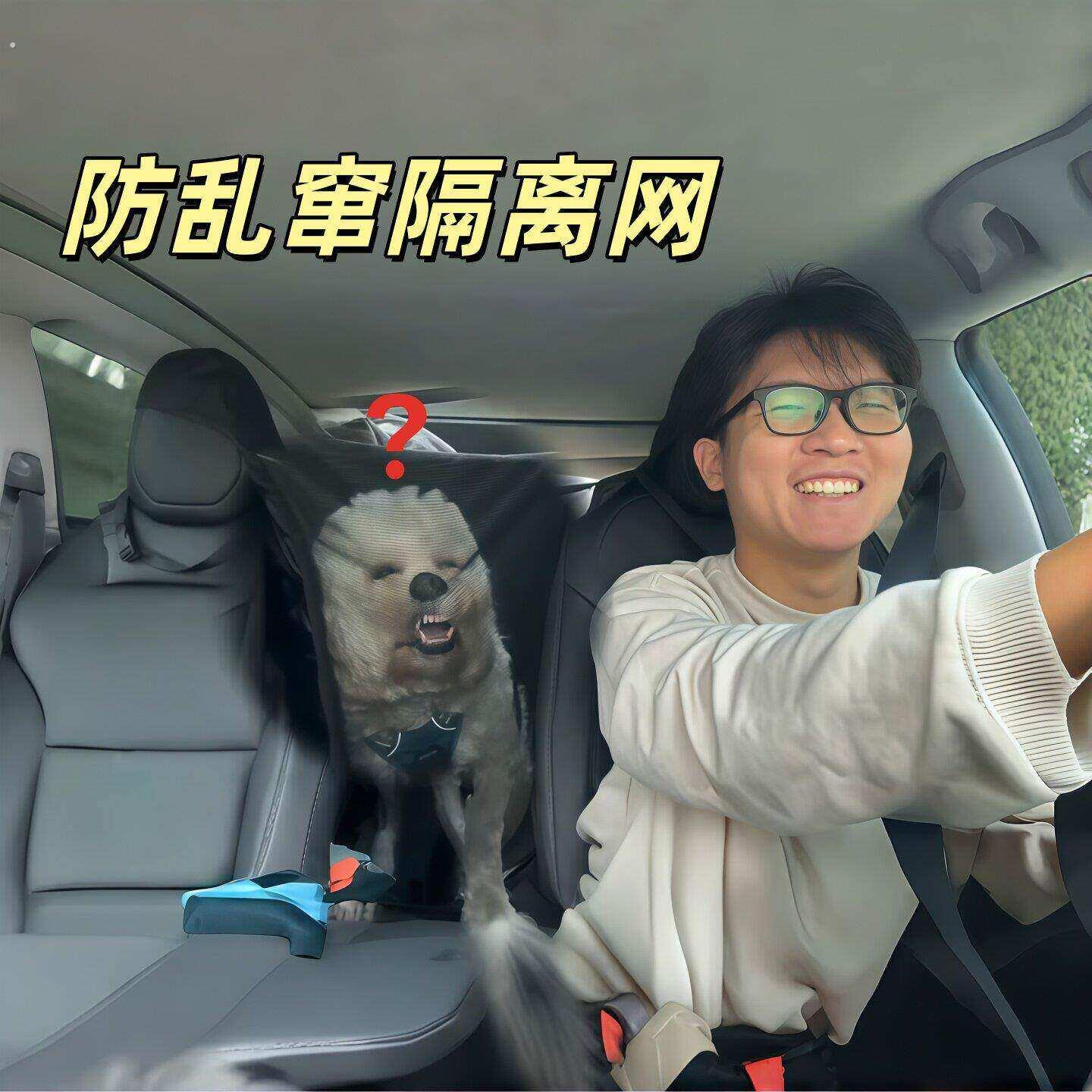 狗狗长途坐车神器汽车前后排隔离网猫咪宠物后排防护网放乱窜护网