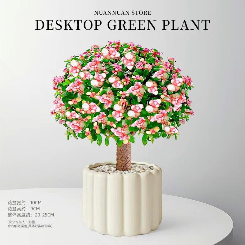 金枝玉叶粉色花朵桌面绿植易养图片
