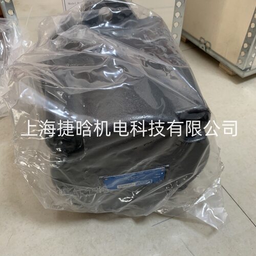 ALBERT叶片泵 ABT1-64-1R00-B5 ABT22T-125-125-1R03-C1 高压油泵