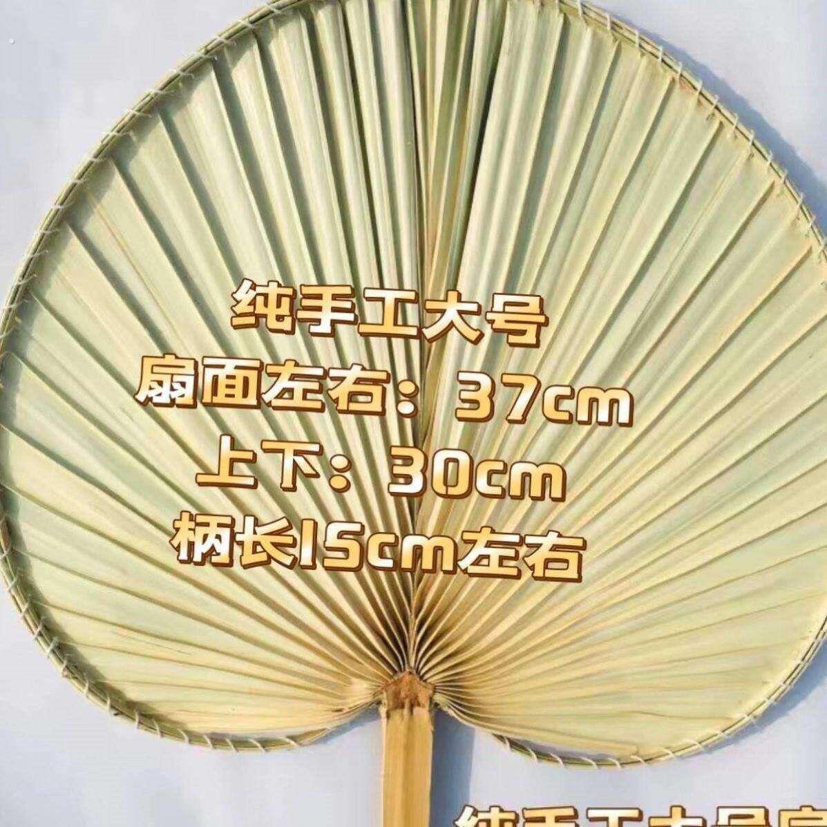 蒲扇新款扇子夏天耐用芭蕉叶蒲葵扇凉快风大手编蒲扇大尺寸结实日