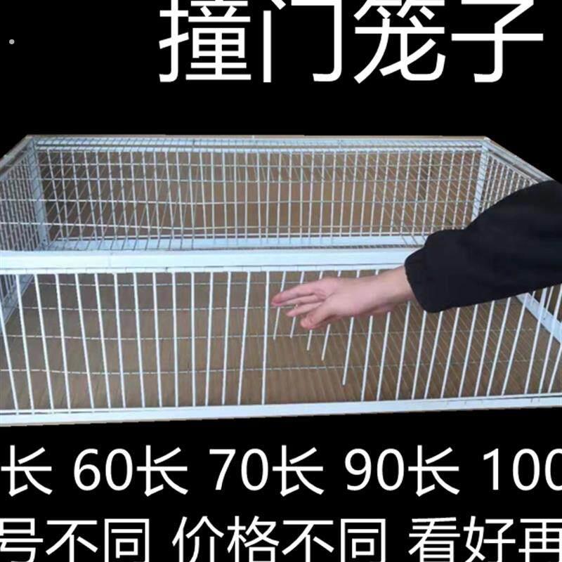 新款天落笼加密只进不出鸽子笼鸽子活络撞门笼自动收鸽鸽子笼鸽子