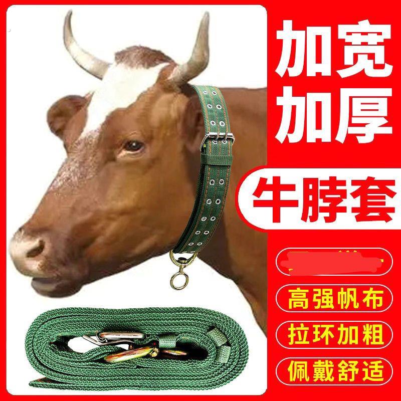 牛绳牛项圈牛笼头养牛场育肥牛用牛犬用超厚牛脖套耐磨不勒脖牛脖