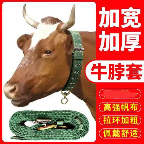 牛绳牛项圈牛笼头养牛场育肥牛用牛犬用超厚牛脖套耐磨不勒脖牛脖