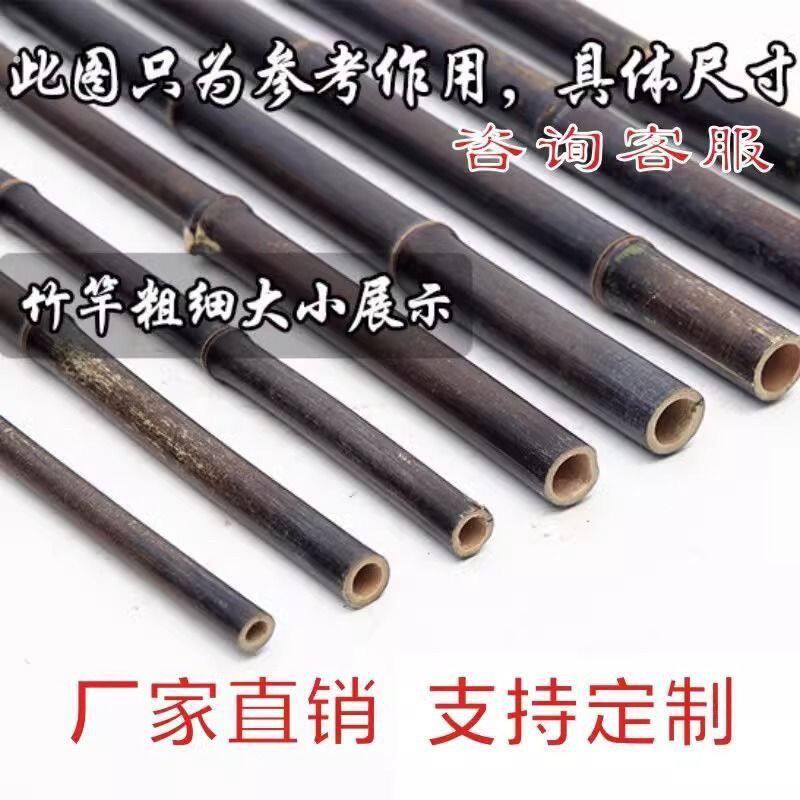 天然紫竹杆料粗细大竹竿教鞭篱笆栅栏文玩老竹子围栏栅栏爬藤装饰