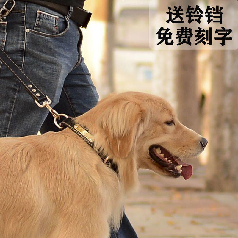 狗圈脖圈牛皮狗狗项圈刻字大中小型犬牵引绳结实狗绳子猫项圈铃铛