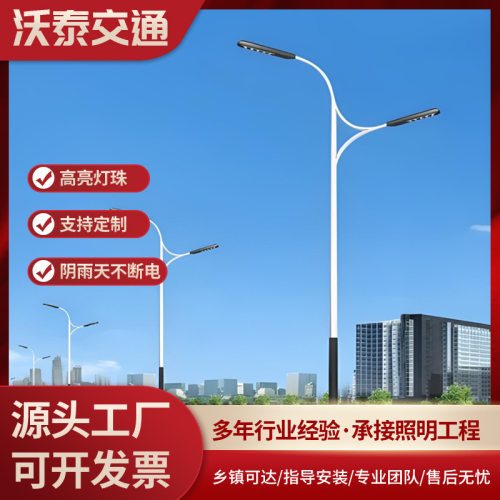 厂家批发新款LED双臂路灯 农村小区公路厂区 LED高低双臂路灯杆