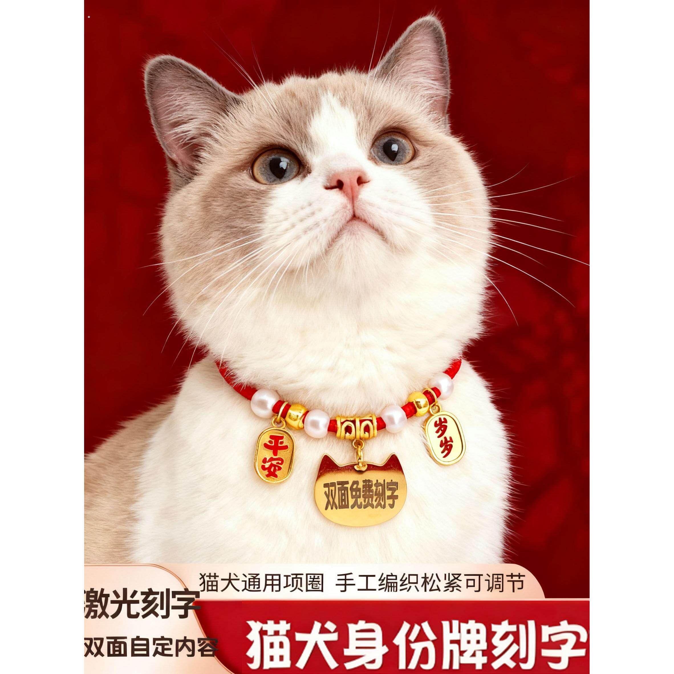 宠物双面刻字身份装饰平安项炼猫咪狗狗防丢牌宠物身份项圈小狗牌