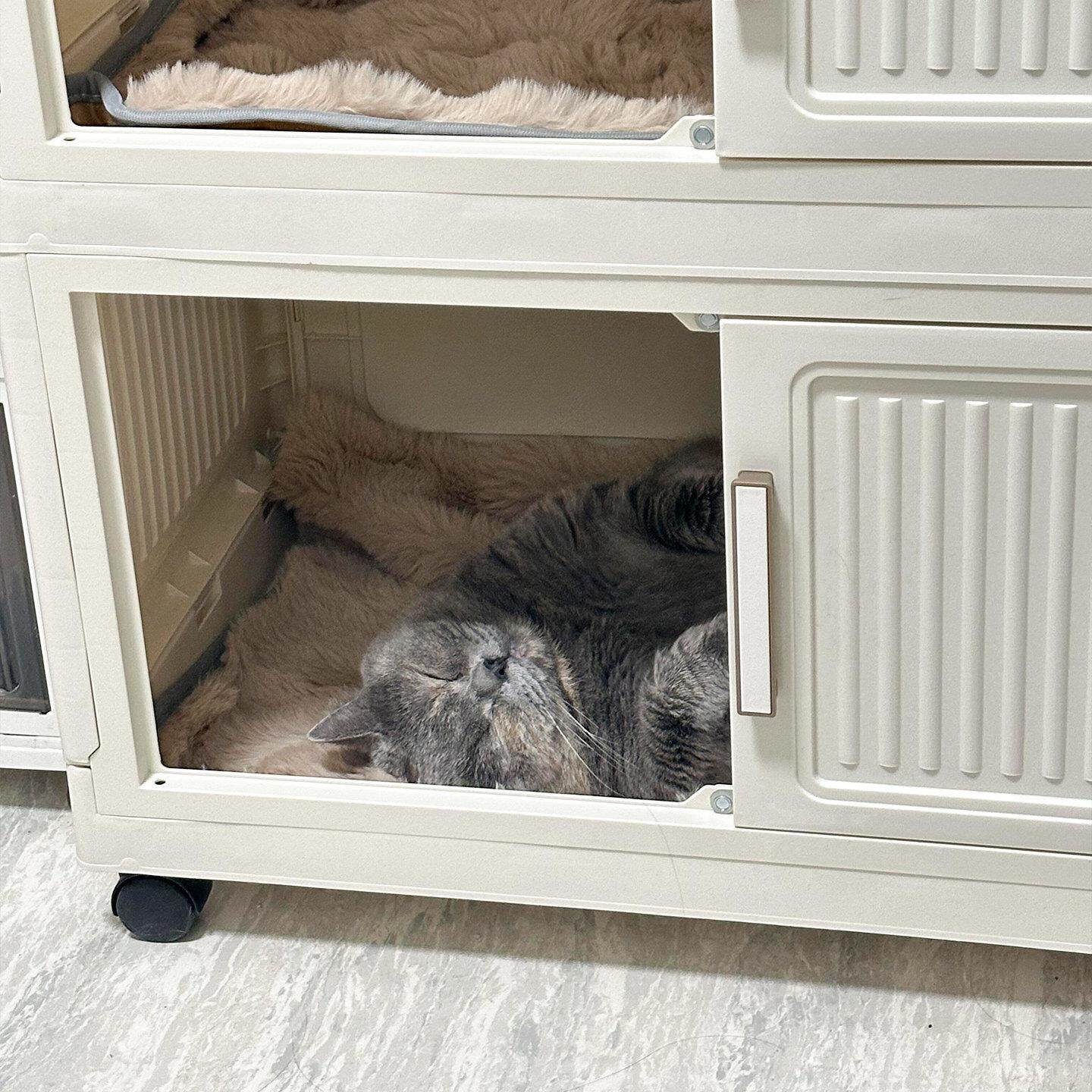 可折叠猫窝四季通用半封闭上下两层猫别墅家用双层猫笼收纳箱猫屋