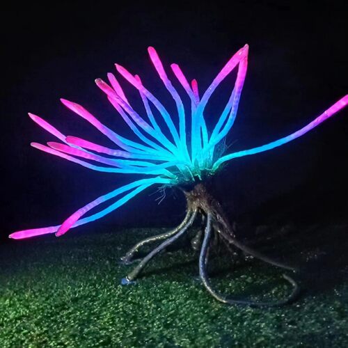网红阿凡达奇幻之光发光海草灯系列户外景观亮化厂家生产
