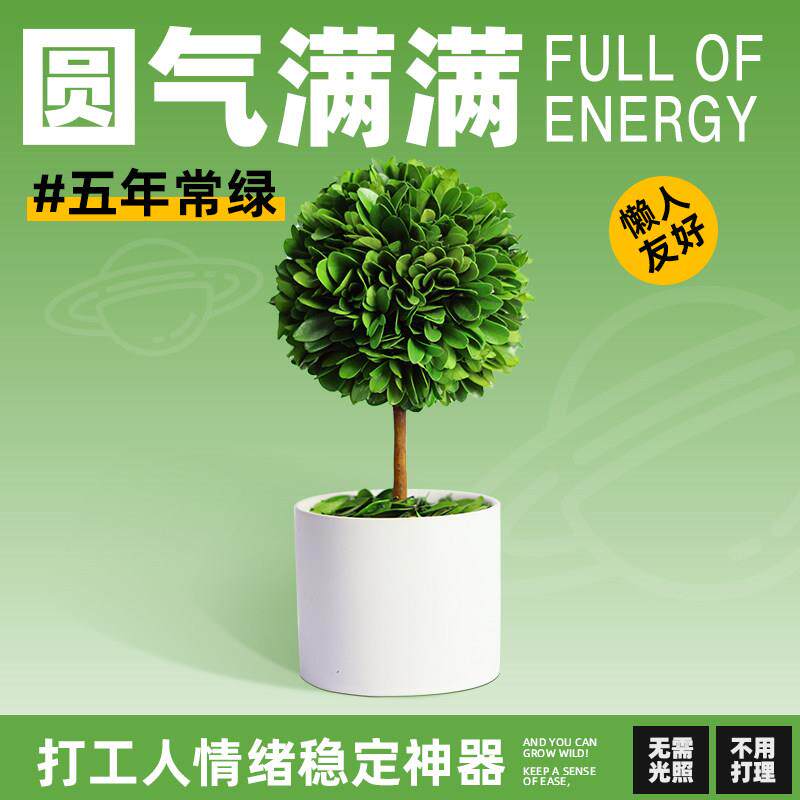 打工人稳定上班情绪神器工位解压植物小摆件办公室桌面绿植装饰品