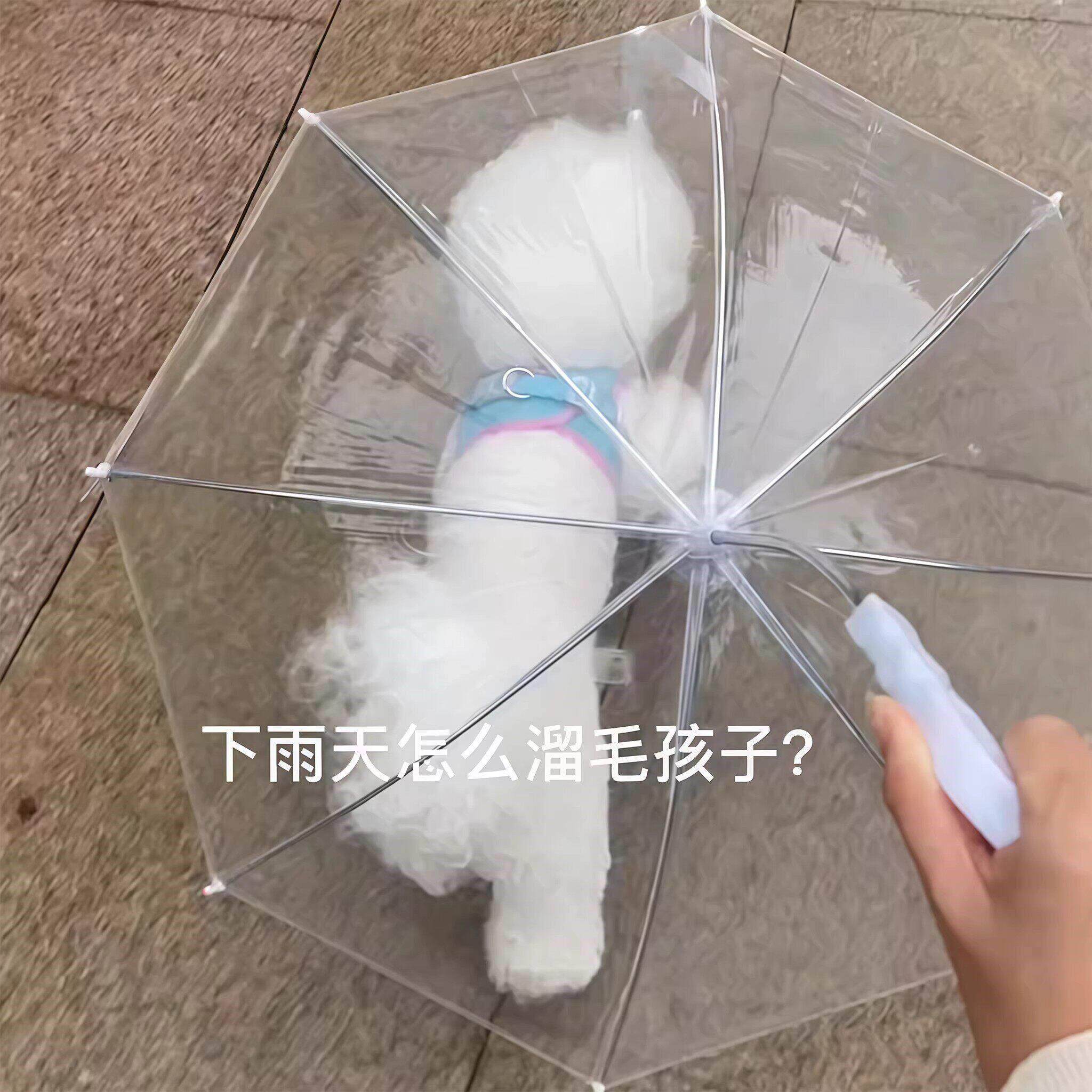 宠物专用狗狗雨伞下雨遛狗神器柯基雨衣狗用雨伞透明泰迪中小型犬