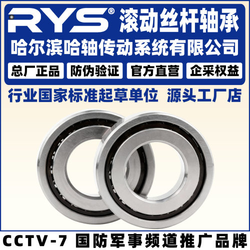 RYS哈轴传动两联配对P4