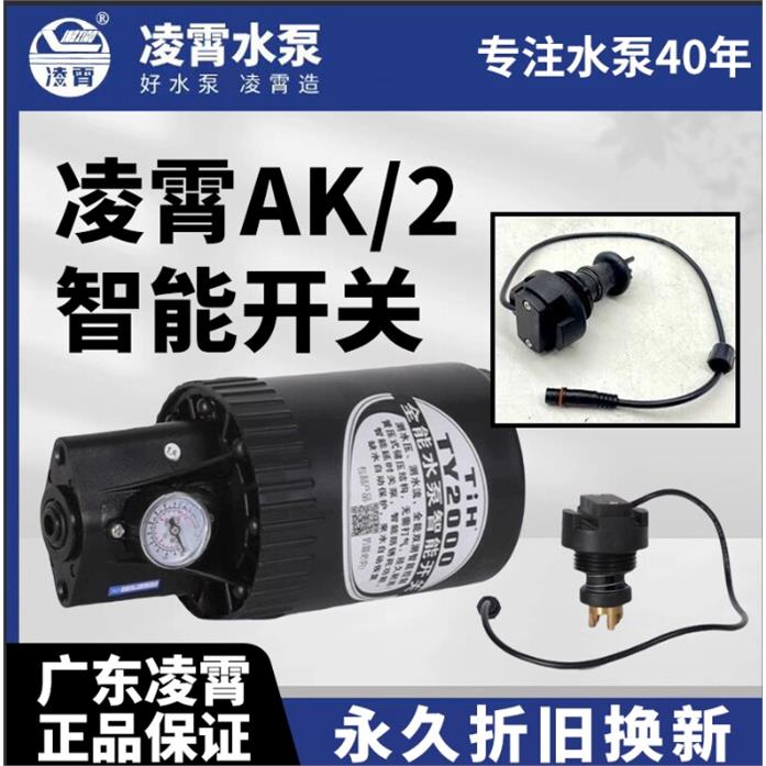 广东凌霄AK/2智能增压泵图片