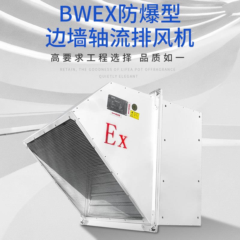 BWEX防爆边墙排风机工业墙排强排轴流风机防雨虫罩SEF壁式220V380