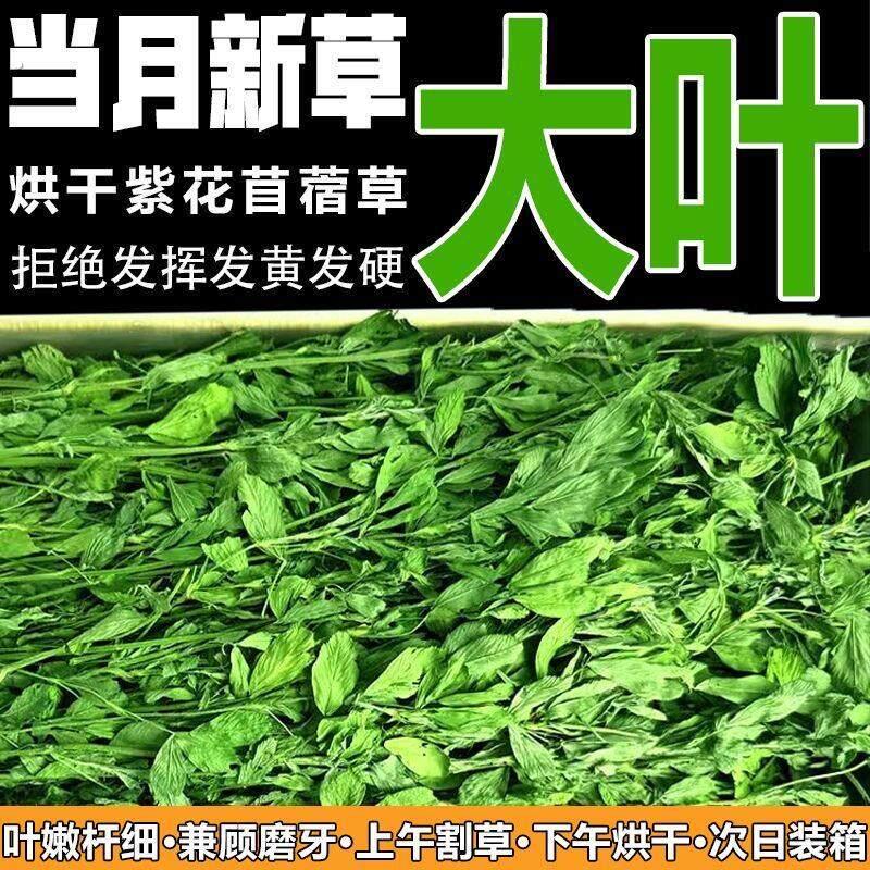 烘干 干提摩西草段北提碎草兔子草龙猫豚鼠荷兰猪干 干草牧