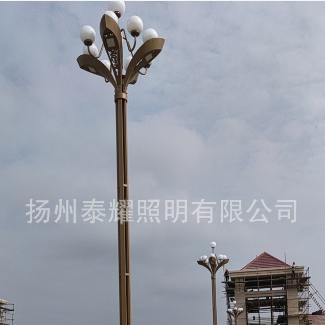 桥上led玉兰灯8米10米广场道路车站户外景观灯市政工程中华灯高杆