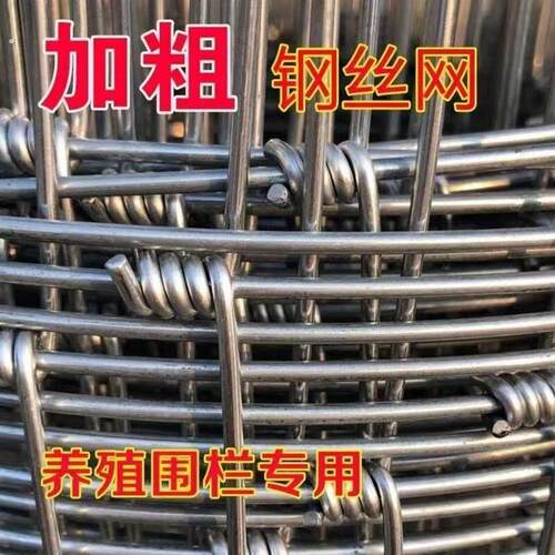 热镀锌铁丝网防锈围栏网拦牛羊养殖网牛栏网果园防护网钢丝网