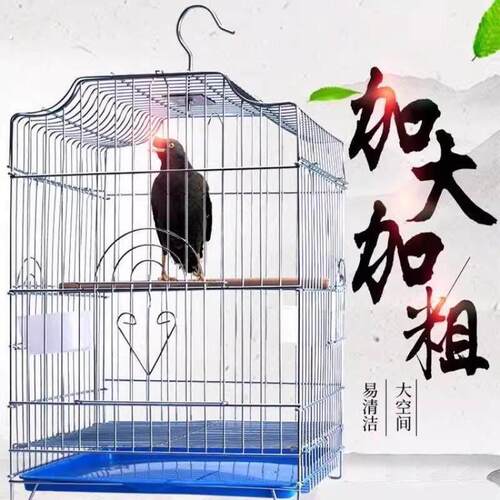 鸟笼八哥玄凤鹩哥鹦鹉笼子大号特大家用烤漆不锈钢色大型繁殖大全