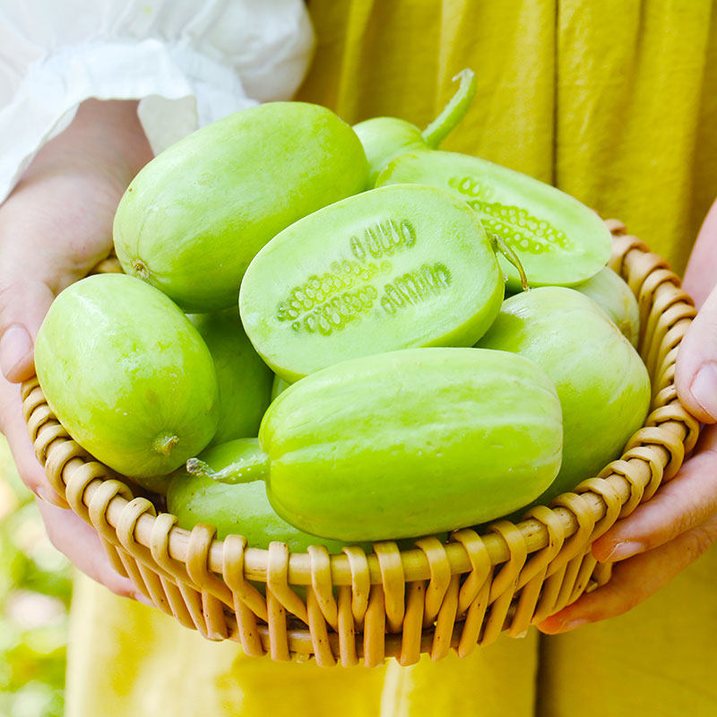 玉女小黄瓜拇指黄瓜生吃青瓜迷你水果新鲜水果